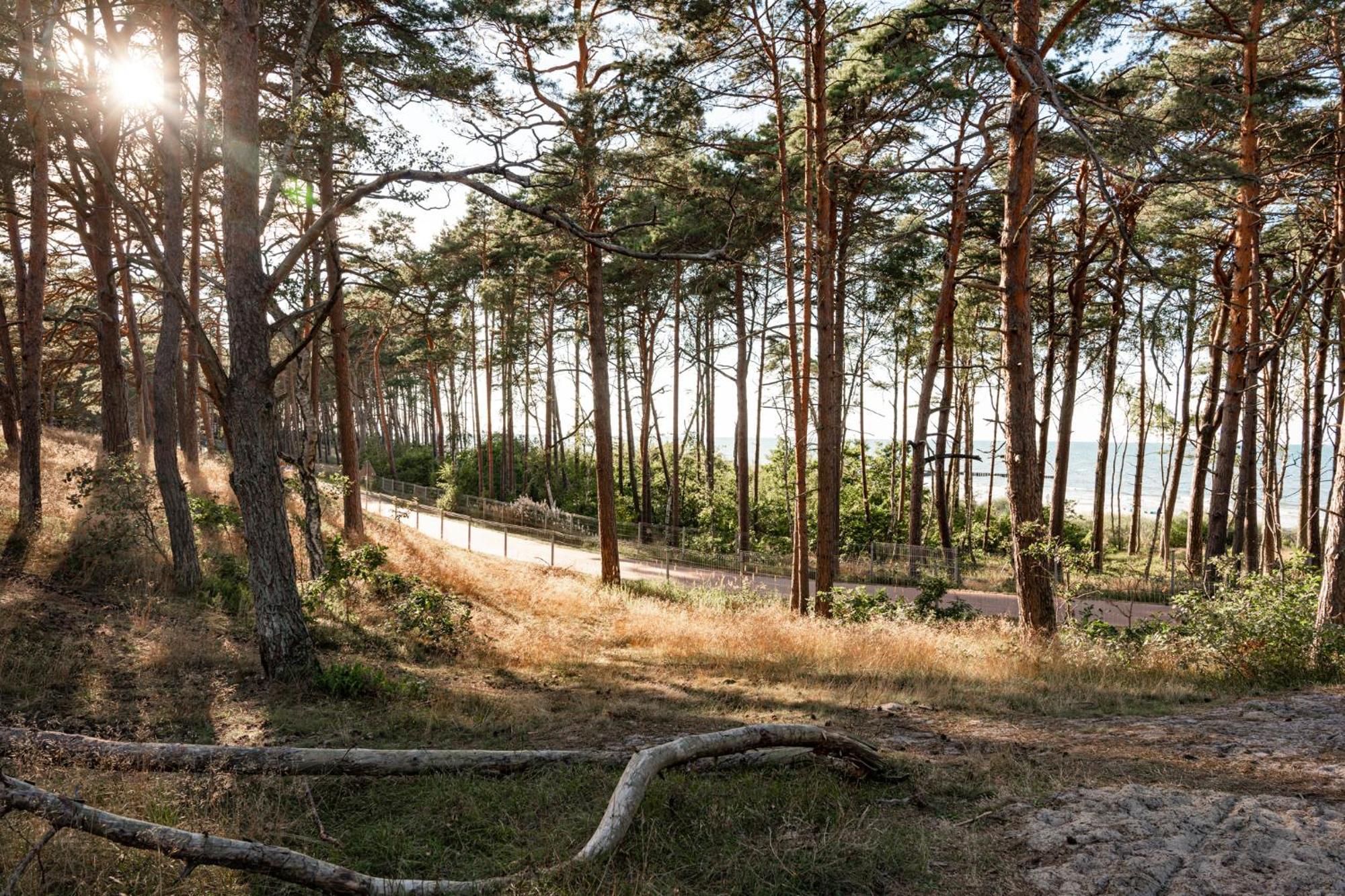Neptuno Resort & Spa Dźwirzyno Buitenkant foto